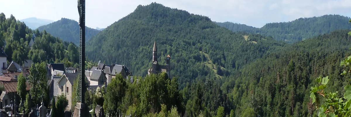 Image Monte escalier Saint-Nectaire