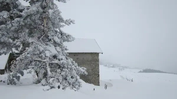 Monte Escalier 63 Monte escalier Grandrif