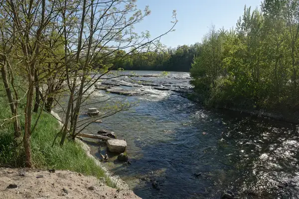 Monte Escalier 63 Monte escalier Les Martres-d'Artière