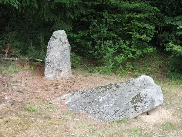 Monte Escalier 63 Monte escalier Sainte-Christine